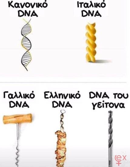 FB_IMG_1742716969519.jpg