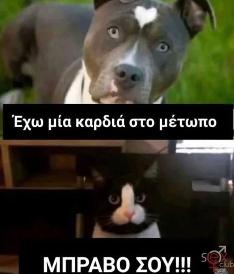 FB_IMG_1742594178339.jpg