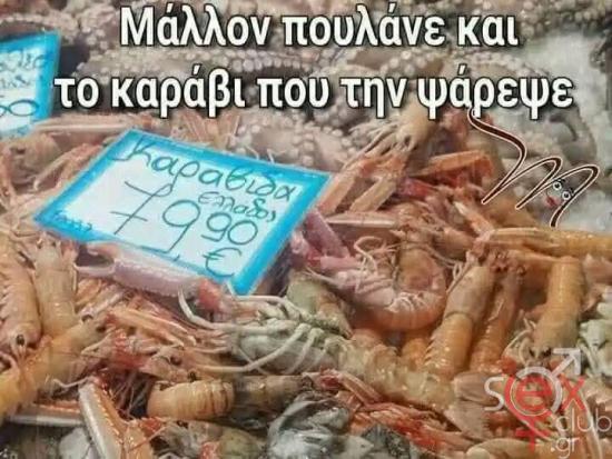 FB_IMG_1742844080089.jpg