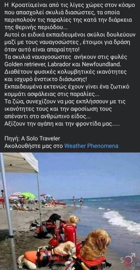 Screenshot_20250325_161157_Facebook.jpg