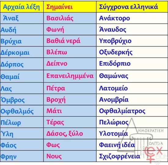 FB_IMG_1743403603213.jpg