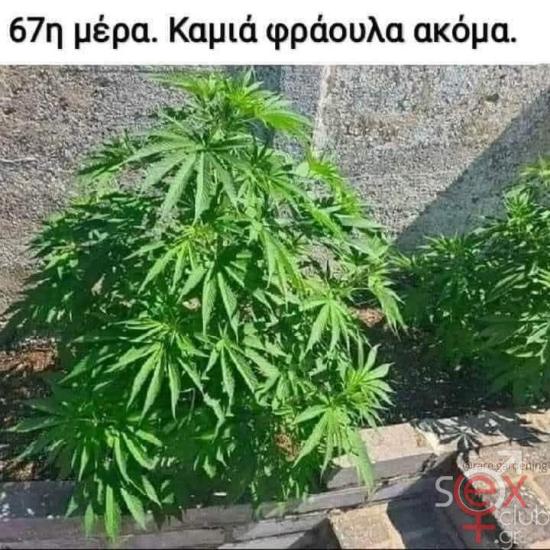 FB_IMG_1744002346548.jpg