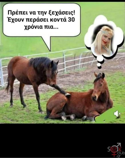 FB_IMG_1743868541767.jpg