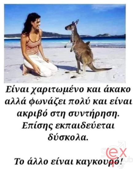 FB_IMG_1743837411875.jpg