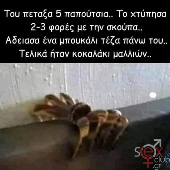FB_IMG_1743765837618.jpg