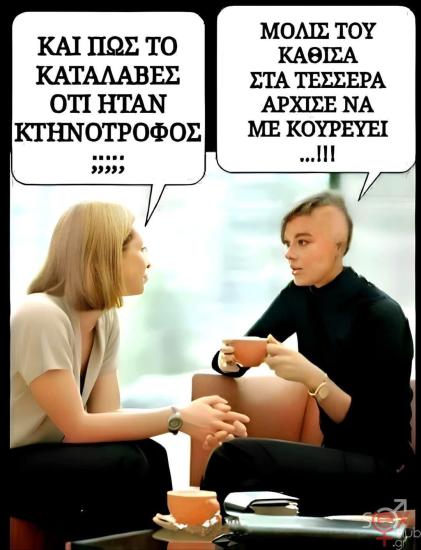 FB_IMG_1744469854378.jpg