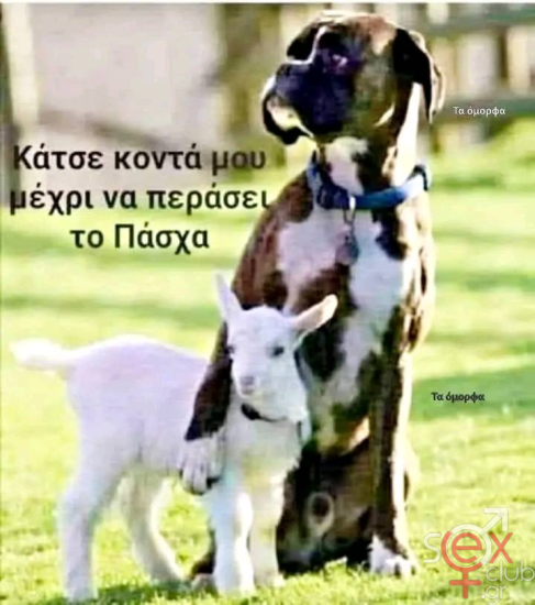 εικόνα_2025-04-14_213000059.png