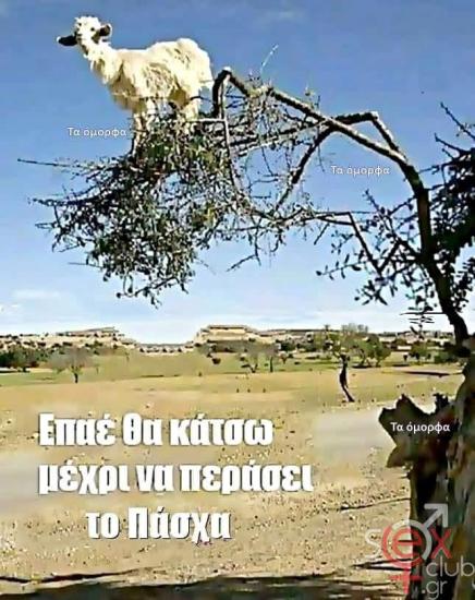 FB_IMG_1744136498894.jpg