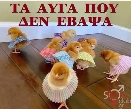 FB_IMG_1744972103869.jpg