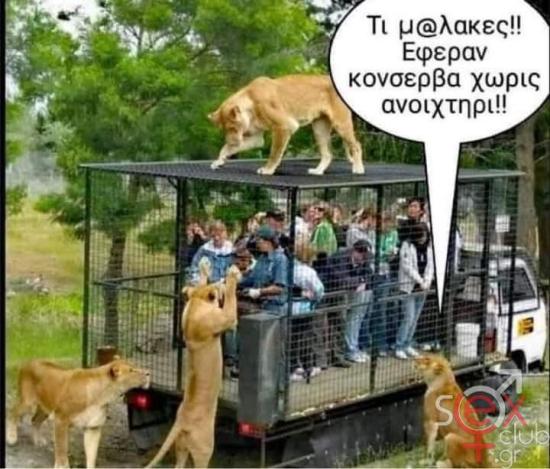 FB_IMG_1745046485555.jpg