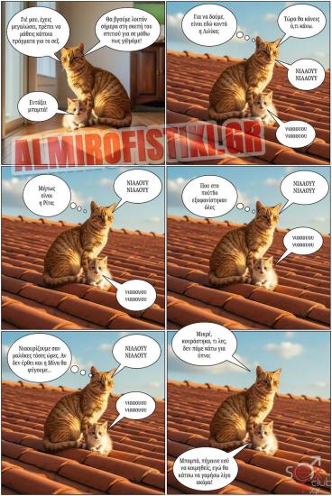 FB_IMG_1745427116985.jpg