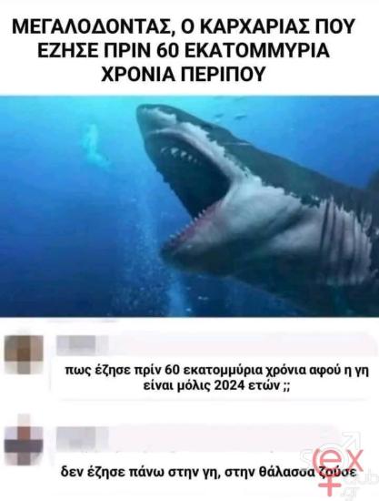 FB_IMG_1745783432303.jpg