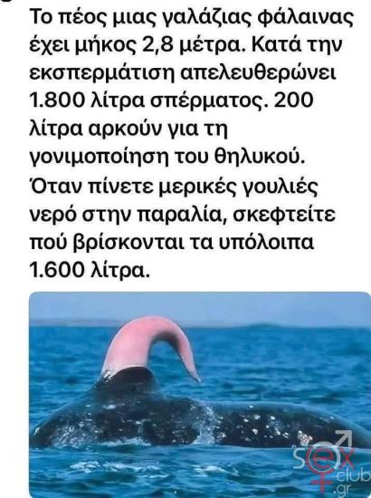 FB_IMG_1745770406671.jpg