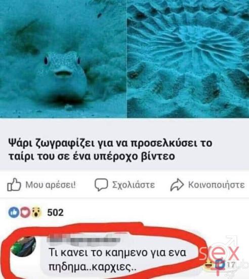 FB_IMG_1747296366462.jpg
