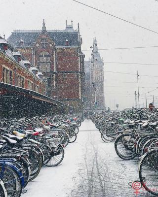 xionistoamsterdam.jpg