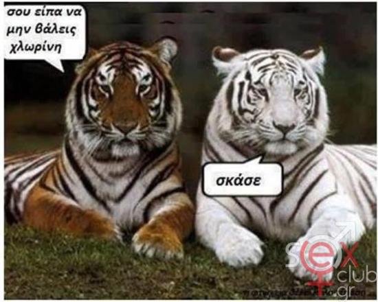 FB_IMG_1748207797926.jpg