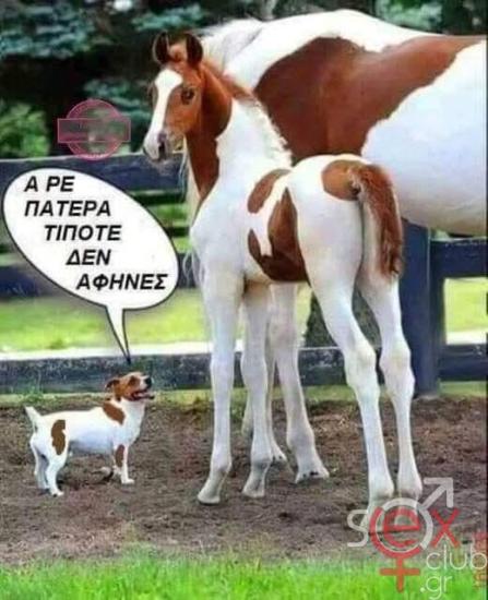 FB_IMG_1747489086702.jpg