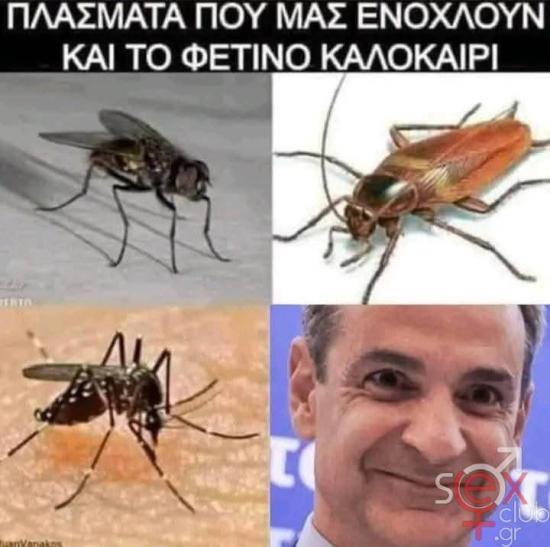FB_IMG_1749013303912.jpg