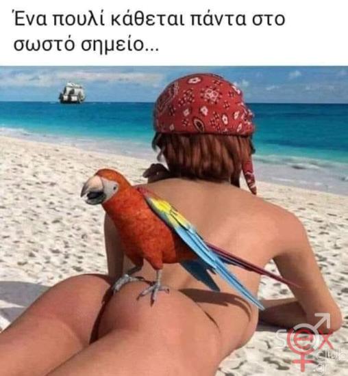 FB_IMG_1749377437696.jpg