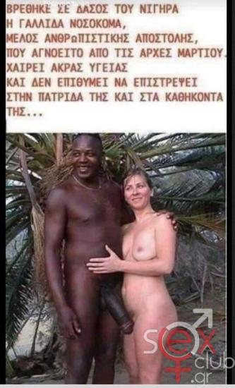 γαλλιδα.jpg