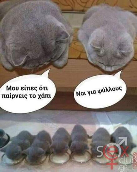 1000007680.jpg