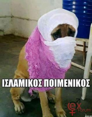 FB_IMG_1573565826928.jpg