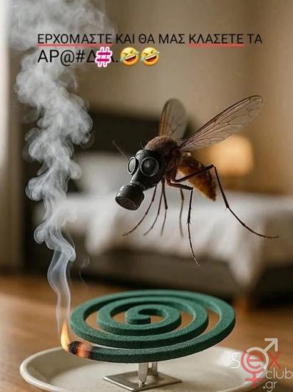 IMG_6497.jpeg