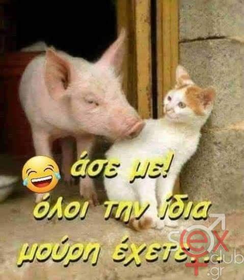 FB_IMG_1750620321237.jpg