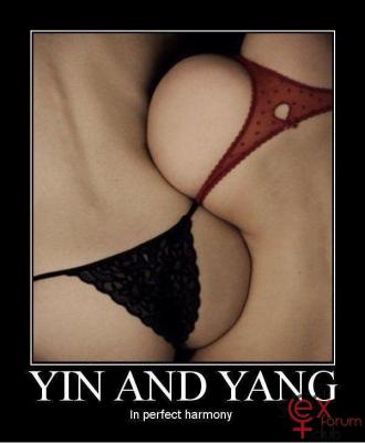 05eea282_yin-and-yang_in_harmony.jpg