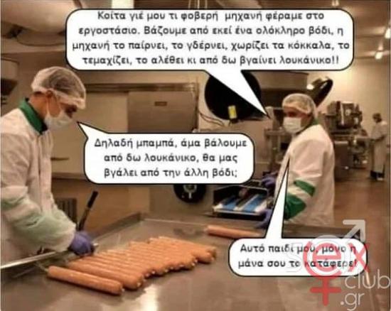 βόδι.jpg