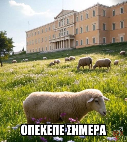 FB_IMG_1751527029305.jpg