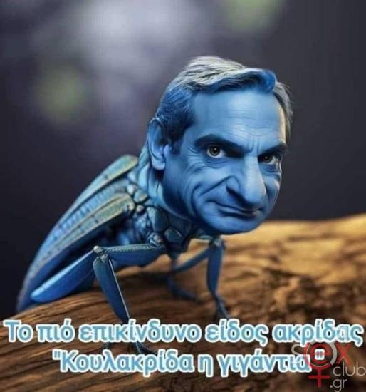 FB_IMG_1751490134832.jpg