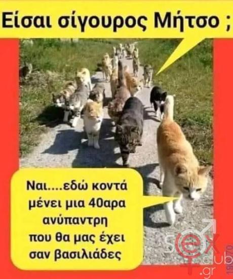 FB_IMG_1752995412928.jpg