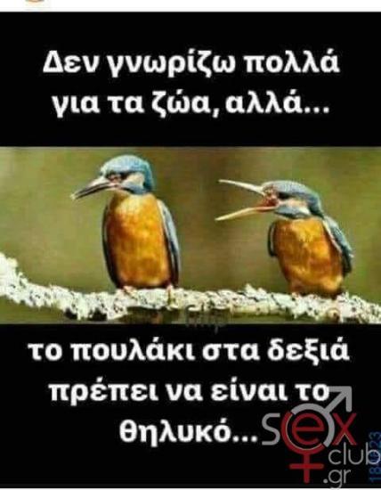 FB_IMG_1753210383334.jpg