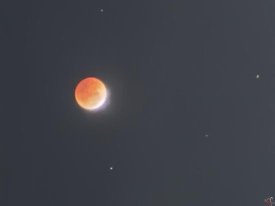 IMG_7068.jpeg