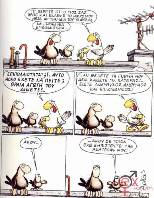 arkas006.jpg