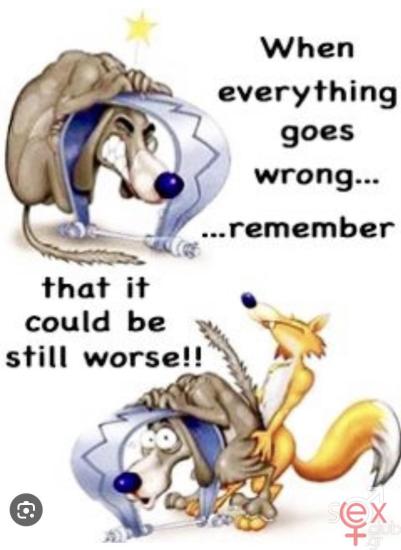 IMG_9141.jpeg