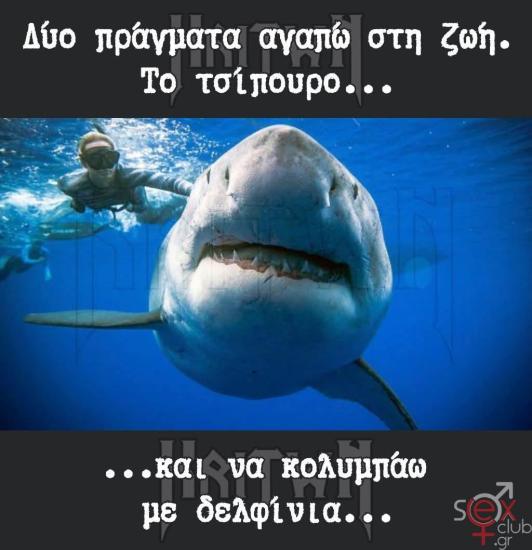 FB_IMG_1754557496953.jpg
