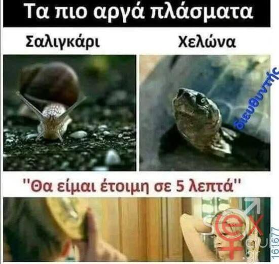 FB_IMG_1763966618956.jpg