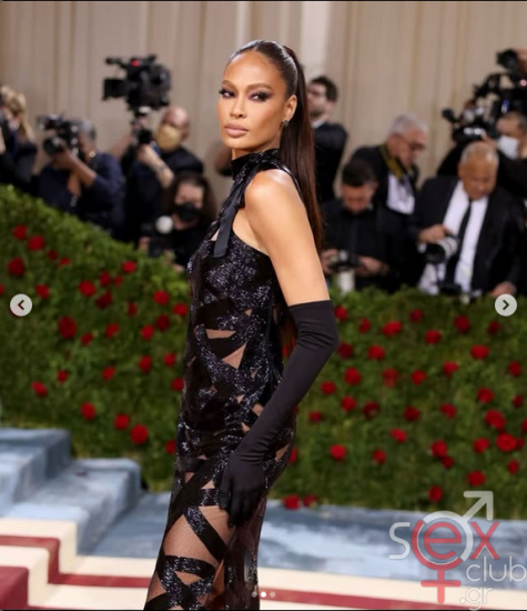 Screenshot 2025-11-10 at 19-25-42 Joan Smalls (@joansmalls) • Φωτογραφίες και βίντεο στο Instagram.png