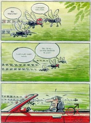 mosquito2.jpg