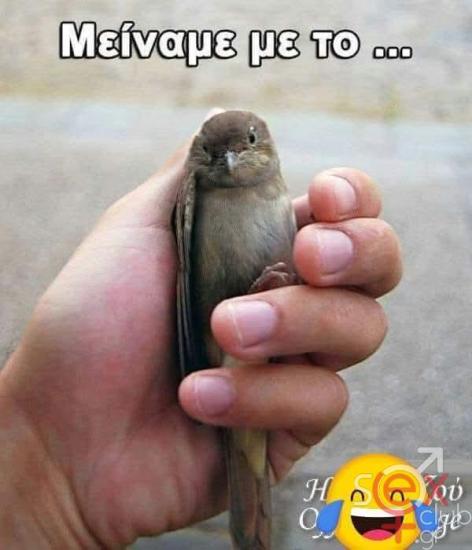 FB_IMG_1767460051366.jpg