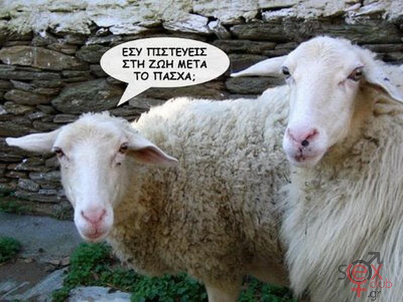 Γελοιογραφίες sexclub.gr  (177).jpg