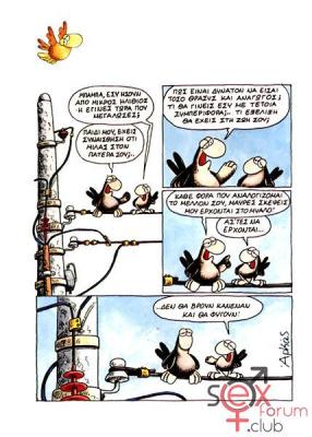 arkas1 (2).jpg