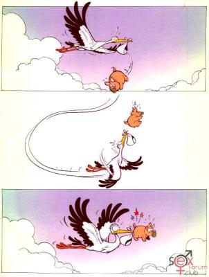 stork_and_pig.jpg