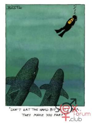 UN_SHARK.JPG