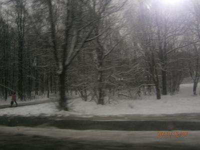 PC070657.jpg