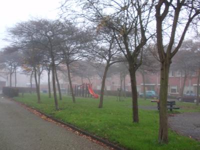 amsPB020681.jpg