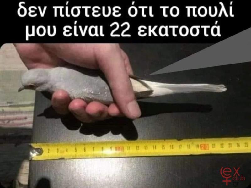 FB_IMG_1657829867004.jpg