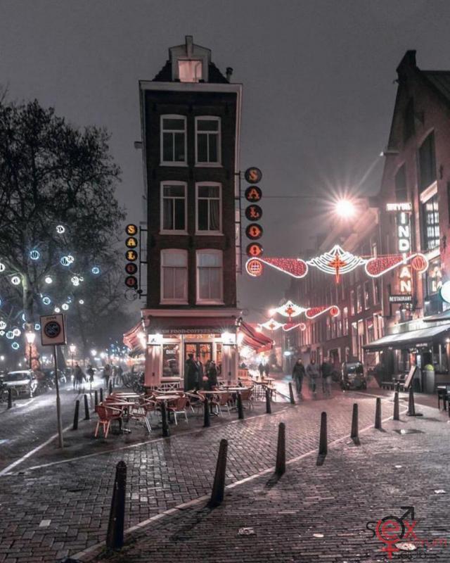 toAmsterdam.jpg